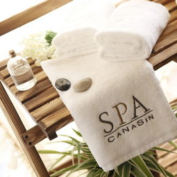 特倍丝日用品 最新产品介绍与亮点解析