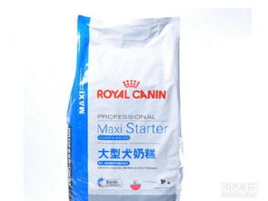 全面解析宠物日用品与食品的批发与零售